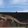 Desert Iguana Mural.<br>
Photo by Blitzo.