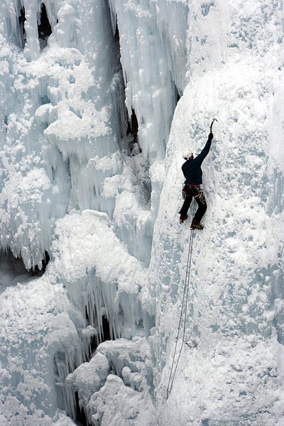 Bro leading Tangled Up in Blue