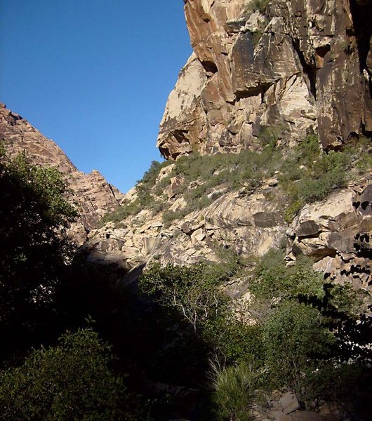 From the condo area in the south fork of Oak Creek, this brushy ledge can be followed back left to reach the base of the wall.