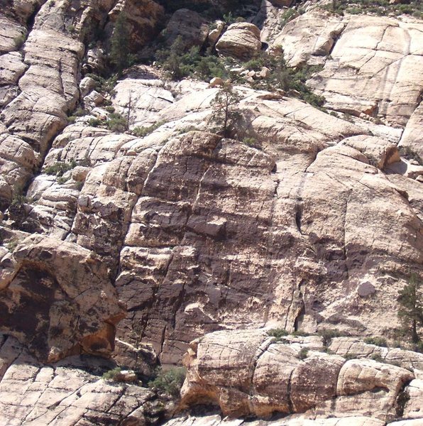 Closer view of the wall.  The route goes up the crack in the center of the varnish and ends at the obvious pine tree.