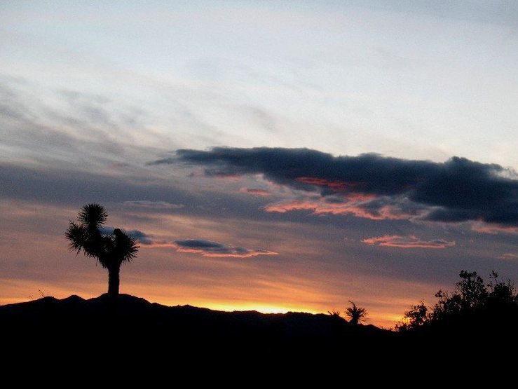 Sunset from the base of Queen Mountain, Joshua Tree NP