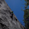 Bear Damage on the East Face