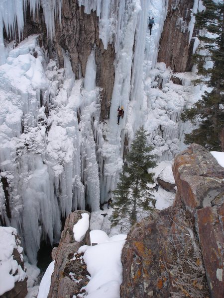 Stanley on Popsicle (at center), Dec., 2004.