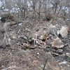 destruction at the base of main cliff as seen from above the trail... well that used to be a trail...