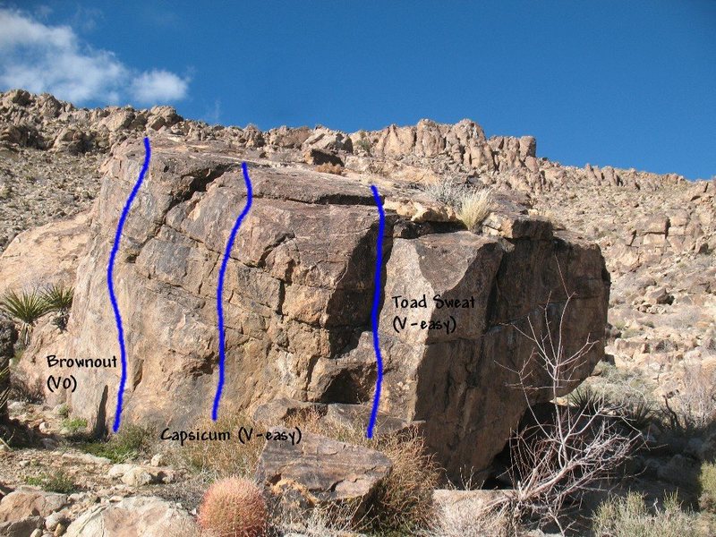 Photo/topo for The Habanero (SW Face), Joshua Tree NP 