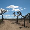 Looking back to Queen Valley from the parking area, Joshua Tree NP