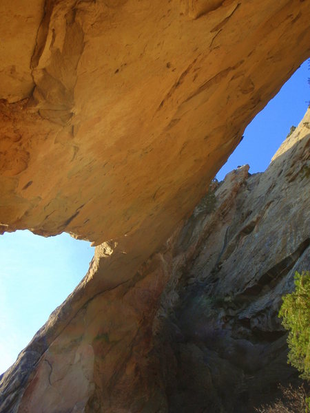 Rifle Arch.