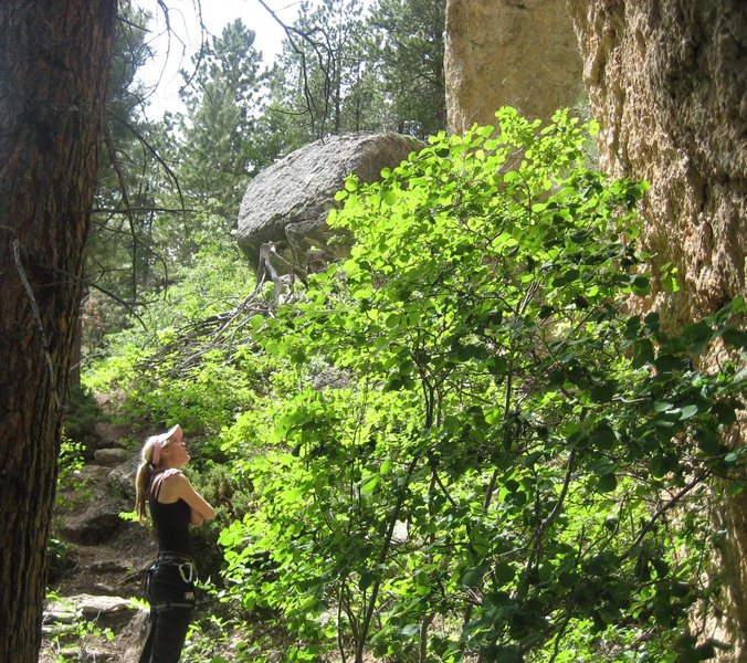 Route hunting in Piney Creek Canyon