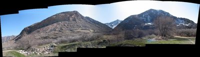 Looking at Schoolroom and Taylor canyon from the 27th street trailhead