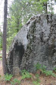 "Park Place" climbs the left side of the photo.