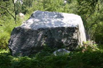 Meadow Boulder