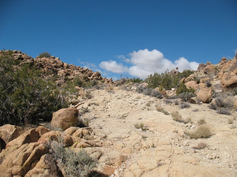 The old road/trail to Queen Mountain, Joshua Tree NP