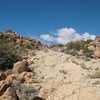 The old road/trail to Queen Mountain, Joshua Tree NP