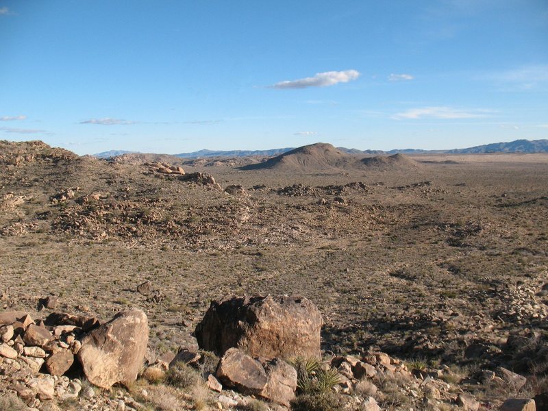 The view from the Larry Flynt Memorial Boulder, Joshua Tree NP