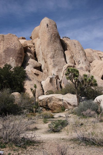 Climbing Loose Lady