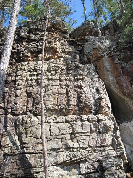 Top half of the route.  Stay to the right of the small tree all the way to the anchors.