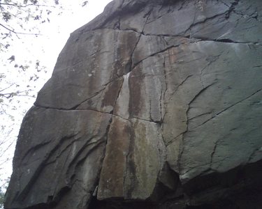 Top half of Sizzlefoot