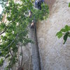 Fun short ow lieback crack straight across from "Vote for Pedro". Prbably about 5.8. A bit sketchy belaying second up and downclimbing off.
