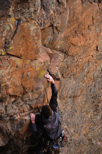 Adam down low on Face Full of Bush.