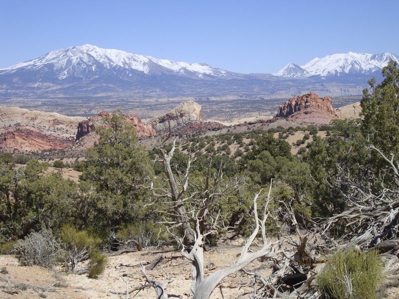 Henry Mountains from the top of Waterpocket Fold