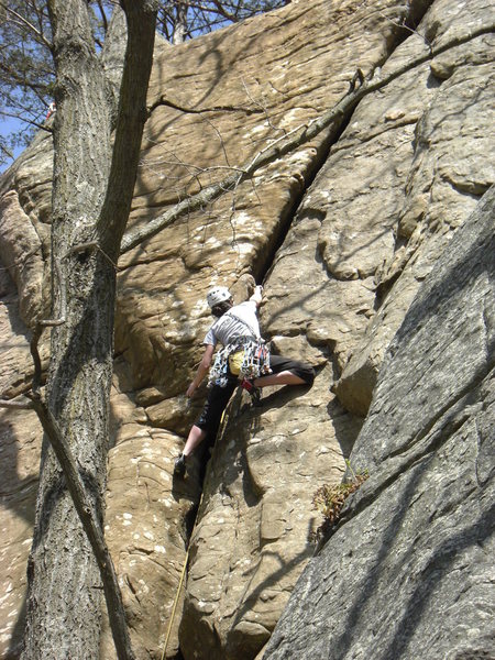 Ellen on the lead.