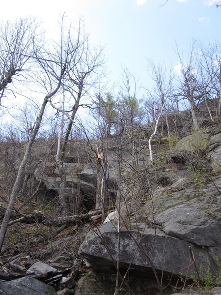 Dismembered tree from a recent wind storm. Much of the area is in the photo. One of the ways to get on this tongue of rock is the bottom left side.  