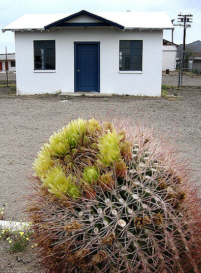 Barrel Cactus and abandoned cabin, Amboy, CA.<br>
Photo by Blitzo.