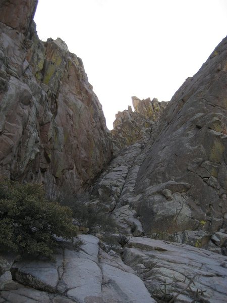 Looking up the 3rd-4th class gully beneath Squaretop. Squaretop's summit is visible at the very top. The final "steep" headwall is roughly a dark streak seen near the top of the gully.<br>
<br>
The slab on the right particularly appealed to me, especially because of its nice shaded position.