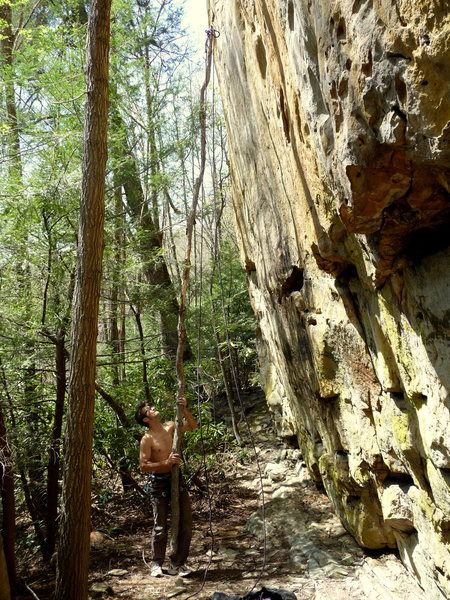 If you're lucky, this big stick might still be there to stick clip the high first bolt.