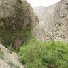 The hike into McElvoy Canyon. The wall behind me is home to some of the most lush vegetation I've seen in this neck of the desert. There's a waterfall coming down the wall behind me on climber's left. A great hike in Saline Valley.<br>
<br>
Taken 4/21/10