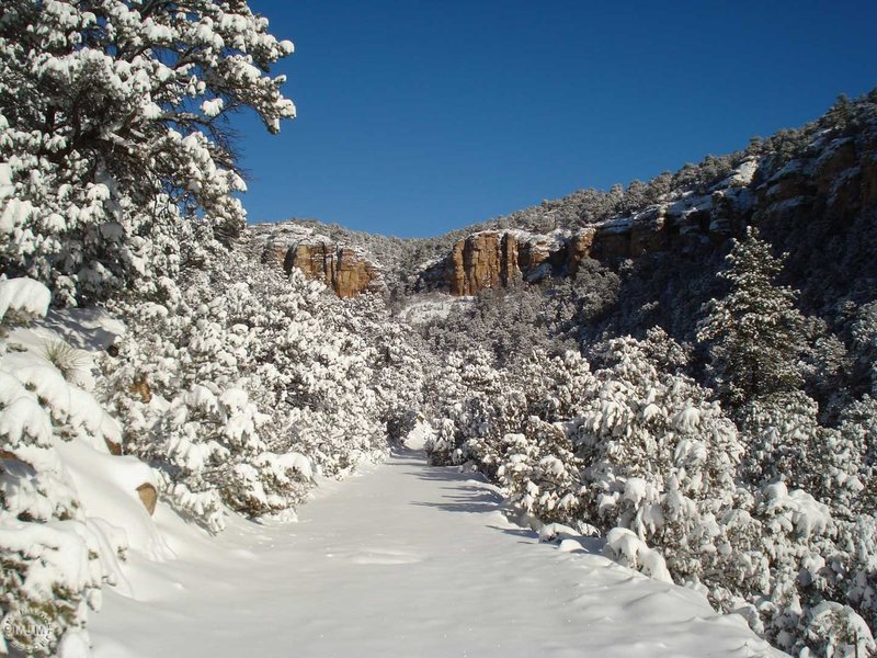 Heading to the Bank Rob (R) & Piggy Bank (L) area's on a great winter day.