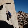 Buissonier 5.7 in Hidden Valley Campground, Joshua Tree