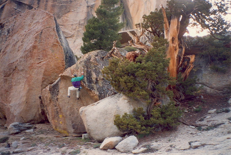 Great Boulder, several are found here.  