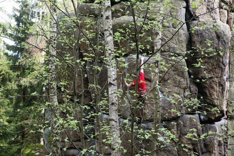 Climbing in the trees