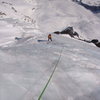 Coming up the ice before the bergschrund 