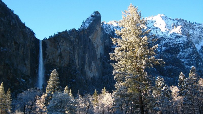 Cold May morning in Yosemite