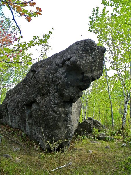 Beautiful boulder in the woods west along the bluffs.