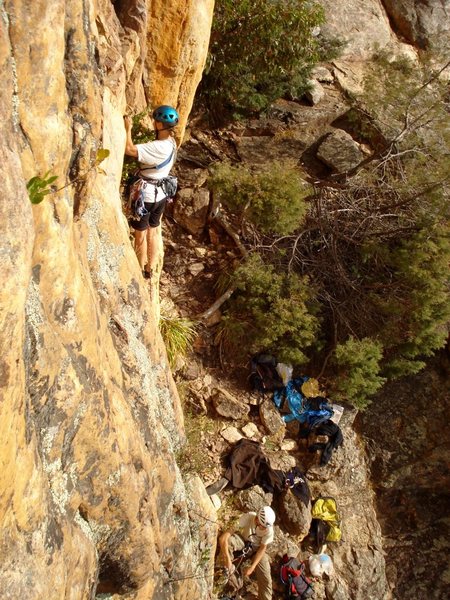 Leading Pedro, an Australian 10 (5.5?)