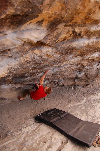 Cytogrinder, V8, Morrison CO Photo 5