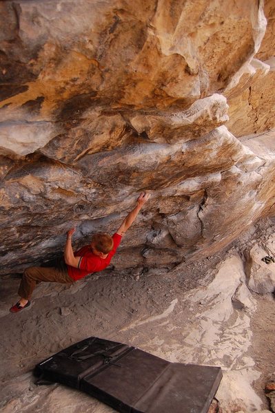 Cytogrinder, V8, Morrison CO Photo 7