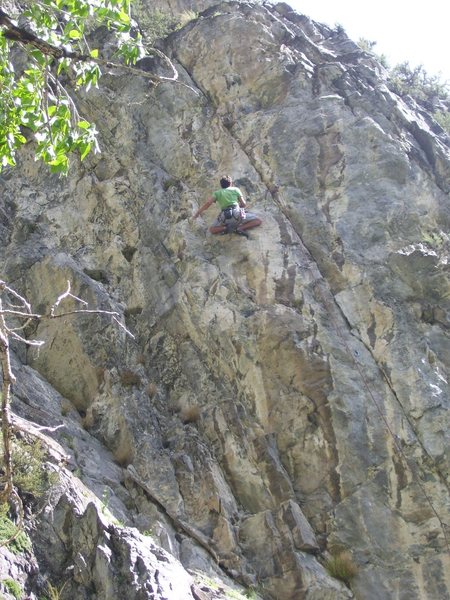 Tristan in a neat rest position. He made a great attempt for the flash! Falling right at the last part. The route isn't hard as much as it is just pumpy. 