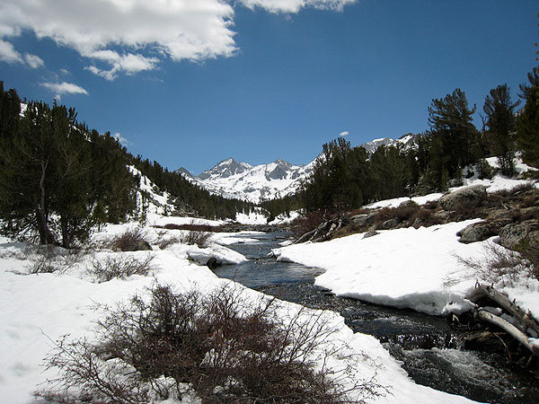 spring in Little Lakes Valley