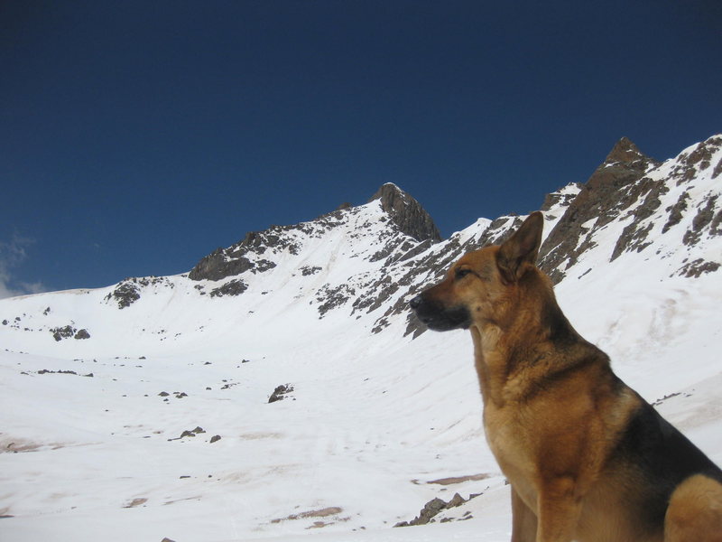 Adobe after his second Wetterhorn decent (east face in background).