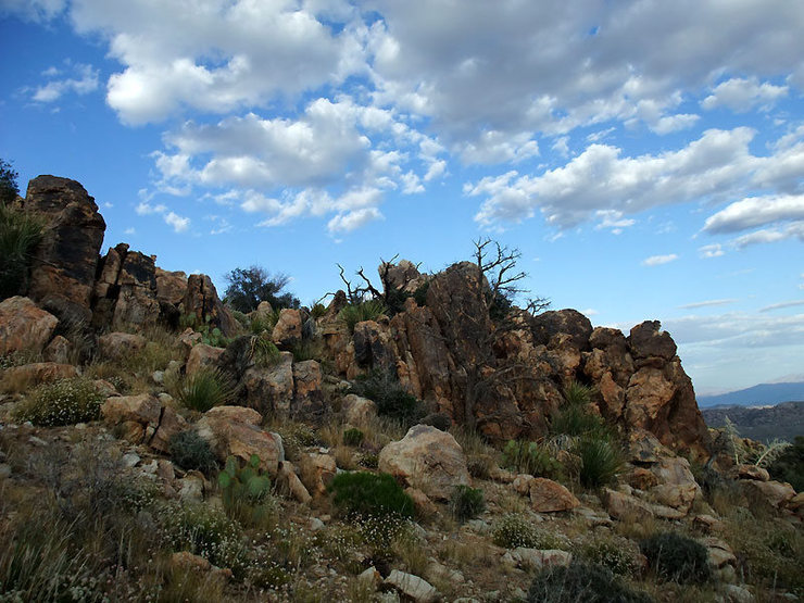 one of the many varnished formations on the descent