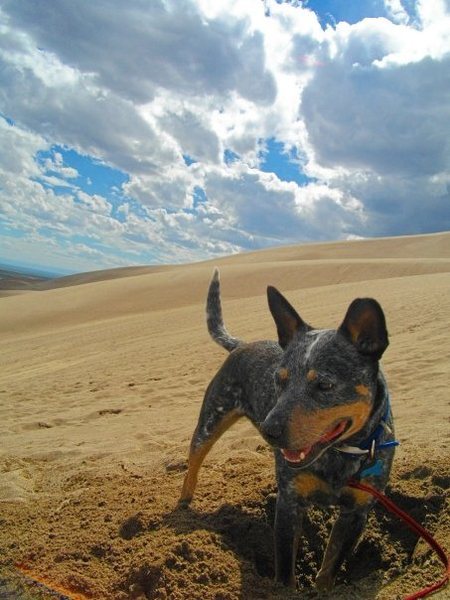 Great Sand Dunes