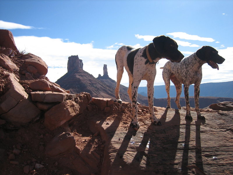 Sam and Daisy hiking to Sister Superior Castle Valley, UT.