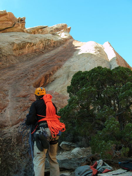 Rope up here, next to the ecstatic juniper. The brilliant everyman, Matt Hepp prepares to climb again.