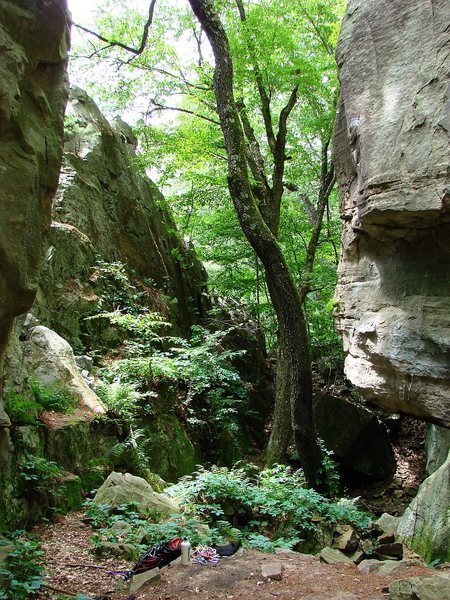 The hollow looking north.  The roof/arete is Generation Gap.