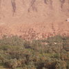 valley of date palms outside the Todra Gorge