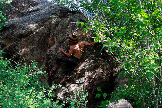 Shady Character Boulder, Anthropic Principal.